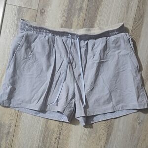 Light Gray Swim Shorts